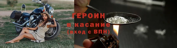 СК Зеленокумск