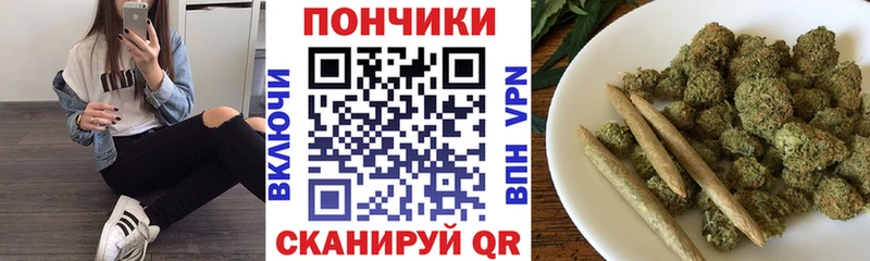 Шишки марихуана план  Купить где  Зея 